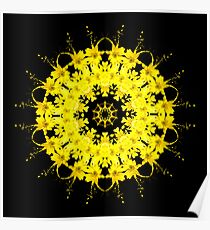 Spring Flower Kaleidoscope 04 Poster