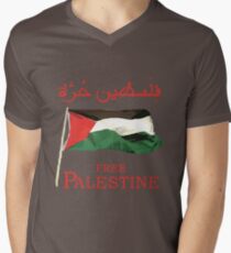 Camiseta para hombre de cuello en v Camisetas, pegatinas y estuches gratuitos de Palestine 2013