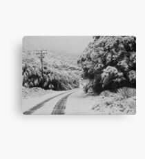 Back Road Canvas Print