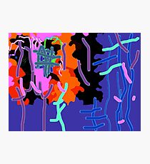 Orange Trees Photographic Print