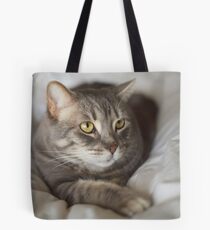 Desert Cat Tote Bag