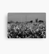 nature Canvas Print