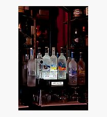 Grey Goose Photographic Print