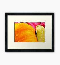 Colours Framed Print
