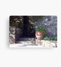 Stone Walk Metal Print
