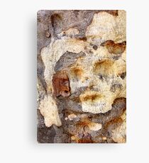 Specter Canvas Print