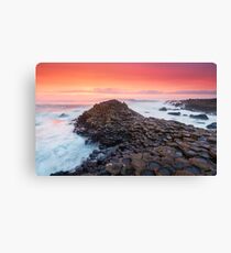 Giants Causeway Canvas Print