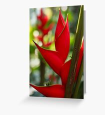 heliconia Greeting Card