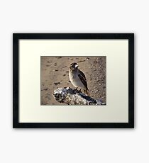 Butch Framed Print