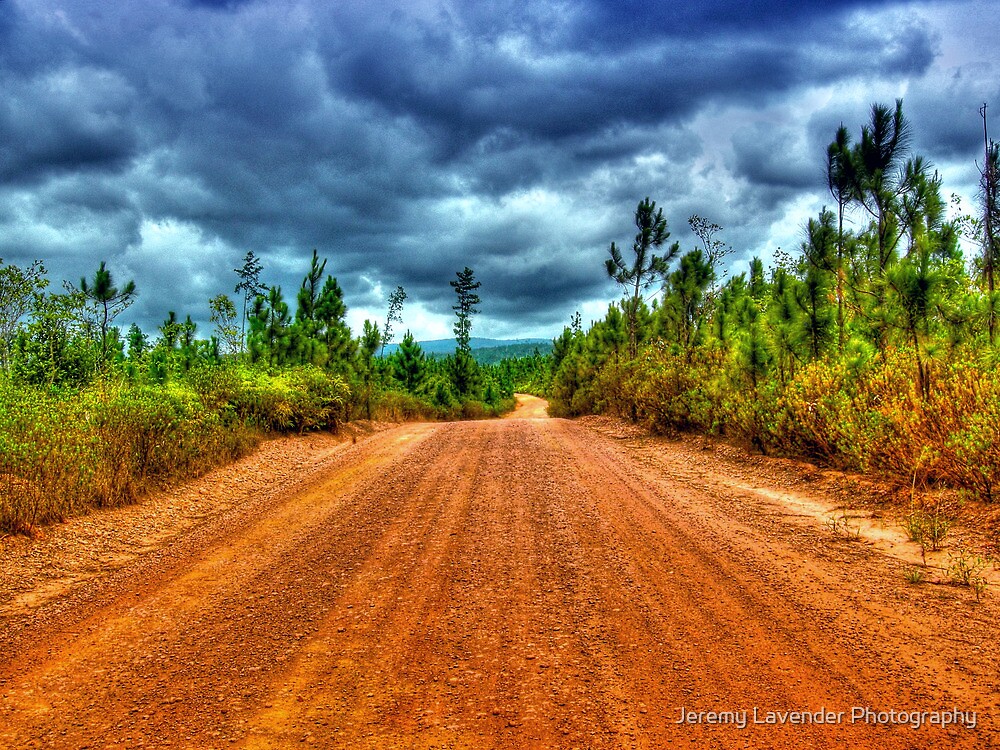 "Mountain Pine Ridge Road in San Ignacio Belize, Central America" by