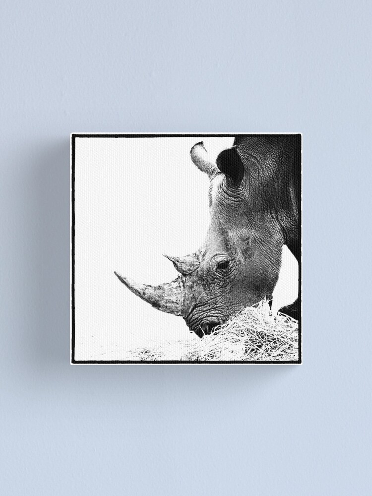 Alternate view of Rhino Canvas Print