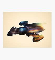 Serenity Photographic Print