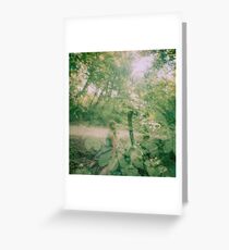 Fairies Greeting Card