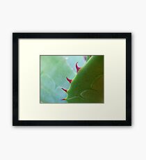 spine after spine after spine..... Framed Print