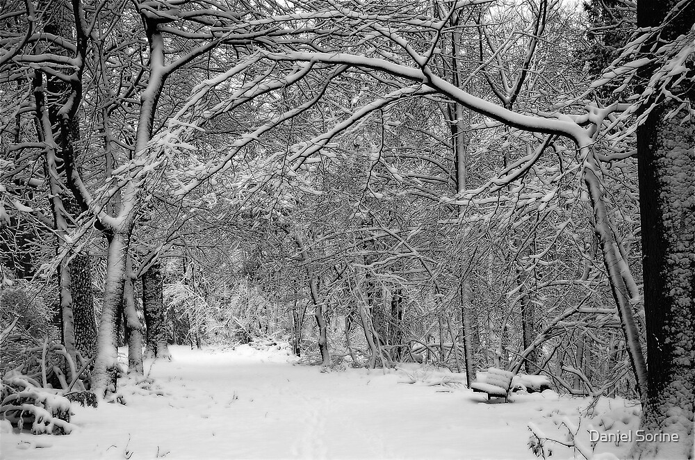 "A snowy day in Scarsdale" by Daniel Sorine Redbubble