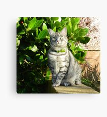 Springtime adventurer! Canvas Print