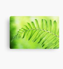 Lime Green Fern Leaf Metal Print