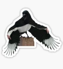 Magpie Dracula Sticker
