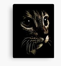 Hoshi Canvas Print