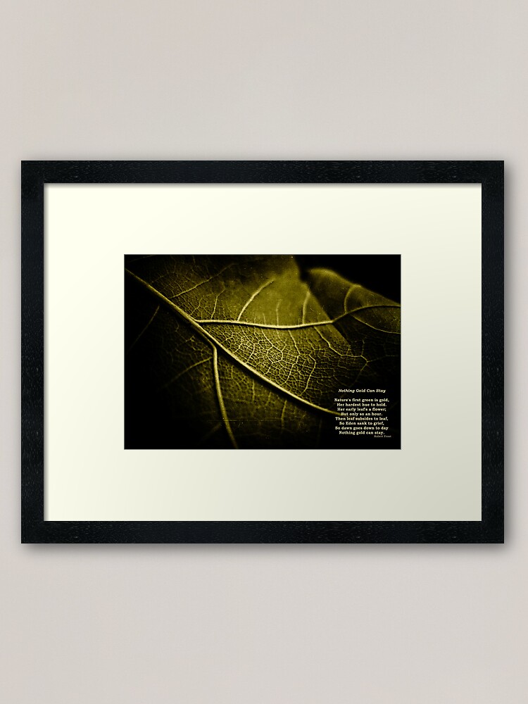Download "Nothing Gold Can Stay" Framed Art Print by apxq12 | Redbubble Yellowimages Mockups