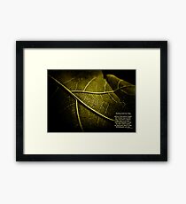 Nothing Gold Can Stay Framed Print