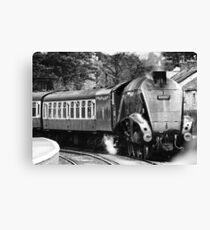 A4 Locomotive 'Sir Nigel Gresley' Canvas Print