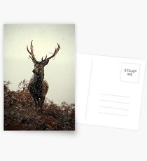 Stag in a blizzard Postcards