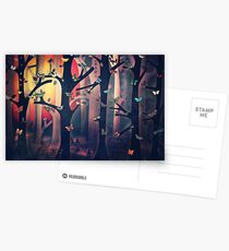 The Woods at Sunset Postcards