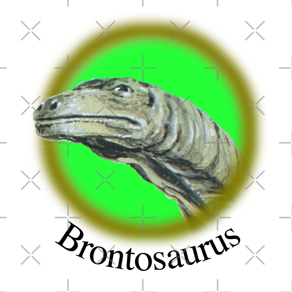 brontosaurus teeth