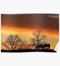 Sunset Serenity Poster