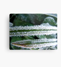 Rods Metal Print