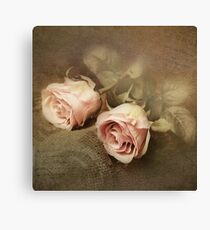 Two roses Canvas Print