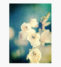 Cherryblossom a la Chinoise Photographic Print