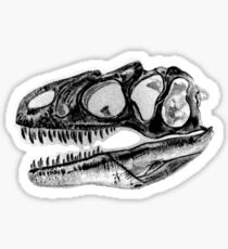 Allosaurus Skull Dino Dinosaur Sticker Paleo Sticker