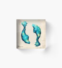The Fishes Acrylic Block