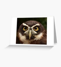 Spectacled Owl Grußkarte