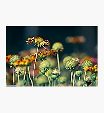 Happiness is...take care your people...Got featured Work Photographic Print