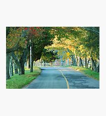 Untitled Photographic Print