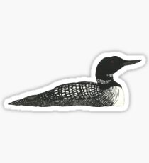 Common Loon Sticker
