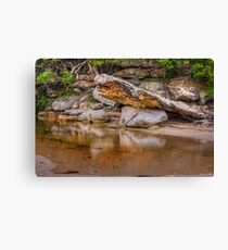 Reflections of nature Canvas Print