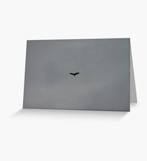 hawk Greeting Card