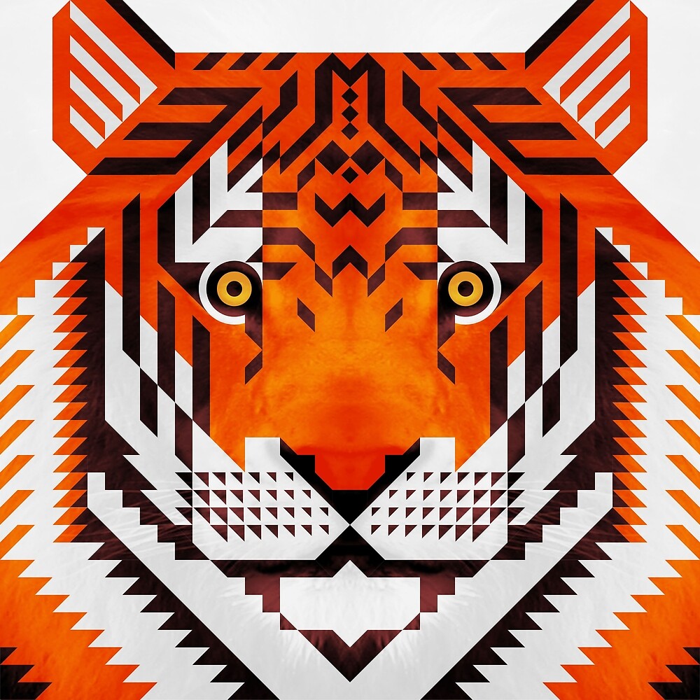 Тигр треугольниками
