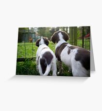 Watching the chickens Greeting Card