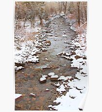 Winter Creek Scenic View Poster