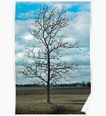 Countryside Poster