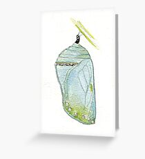 Monarch Butterfly pupa Greeting Card