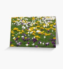 Flowers, Flowers, Flowers Greeting Card