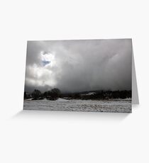 BARE TREES Greeting Card
