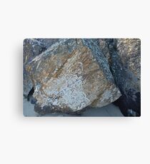 Tumbled tracery Canvas Print