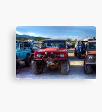 Robert D Bassett's Bronco Canvas Print